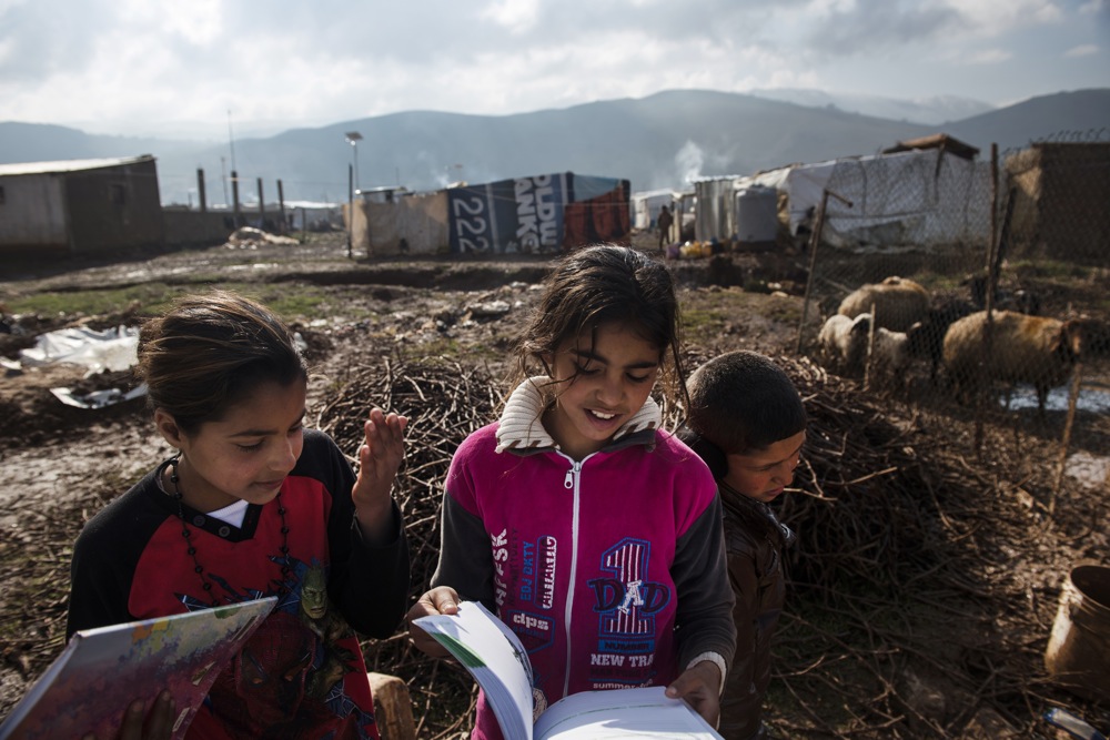 Lebanon/Syrian refugees/ Turbide/ Sharifa (left), 12, from the Syrian city of Homs, studies by the sheep pen in her tented camp in Turbide, Bekaa Valley. Her textbooks are in French, like many in Lebanese schools, and pose a challenge. But Sharifa enjoys learning. When she grows up, she wants to be a paediatrician./ UNHCR/ Lynsey Addario/ March 2014 *** Local Caption *** Sharifa (left), 12, from Homs, studies by the sheep pen in her tented camp. Her books are in French, like many in Lebanese schools, and pose a challenge. But Sharifa enjoys learning. When she grows up, she wants to be a pediatrician, Turbide, Bekaa Valley.