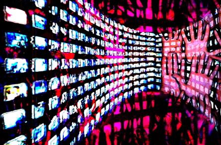 Non facciamo di tutta un’ “Erba” un fascio