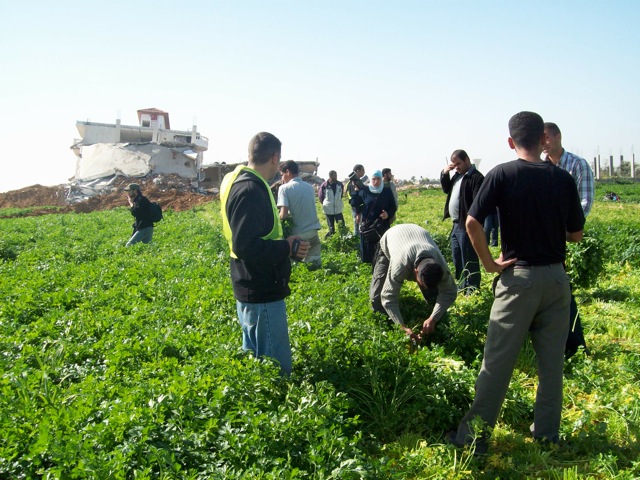 Gaza, i contadini raccontano l'occupazione