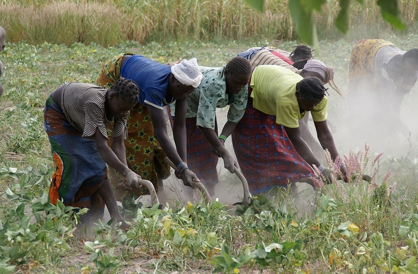 Senegal: terre rubate e scelte sbagliate, pagano i contadini
