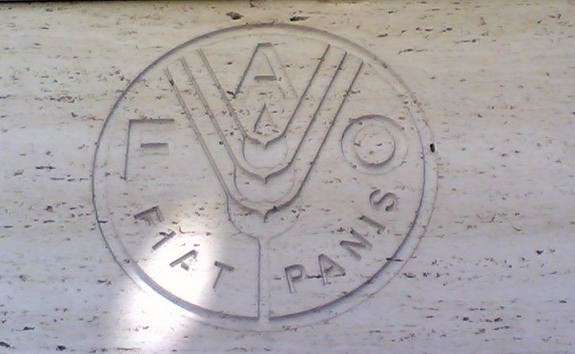 Fao: promesse e mancati impegni non fermeranno la morte per fame