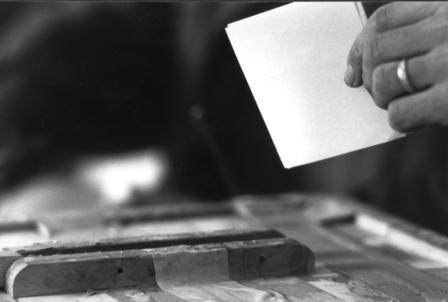 Domenica vado a votare