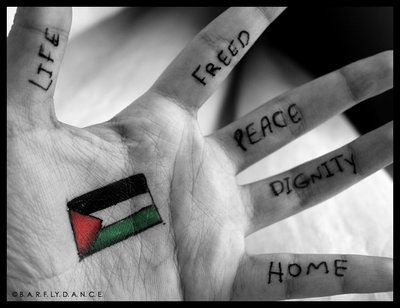 30 marzo 2012, la Giornata della Terra porta il mondo in Palestina