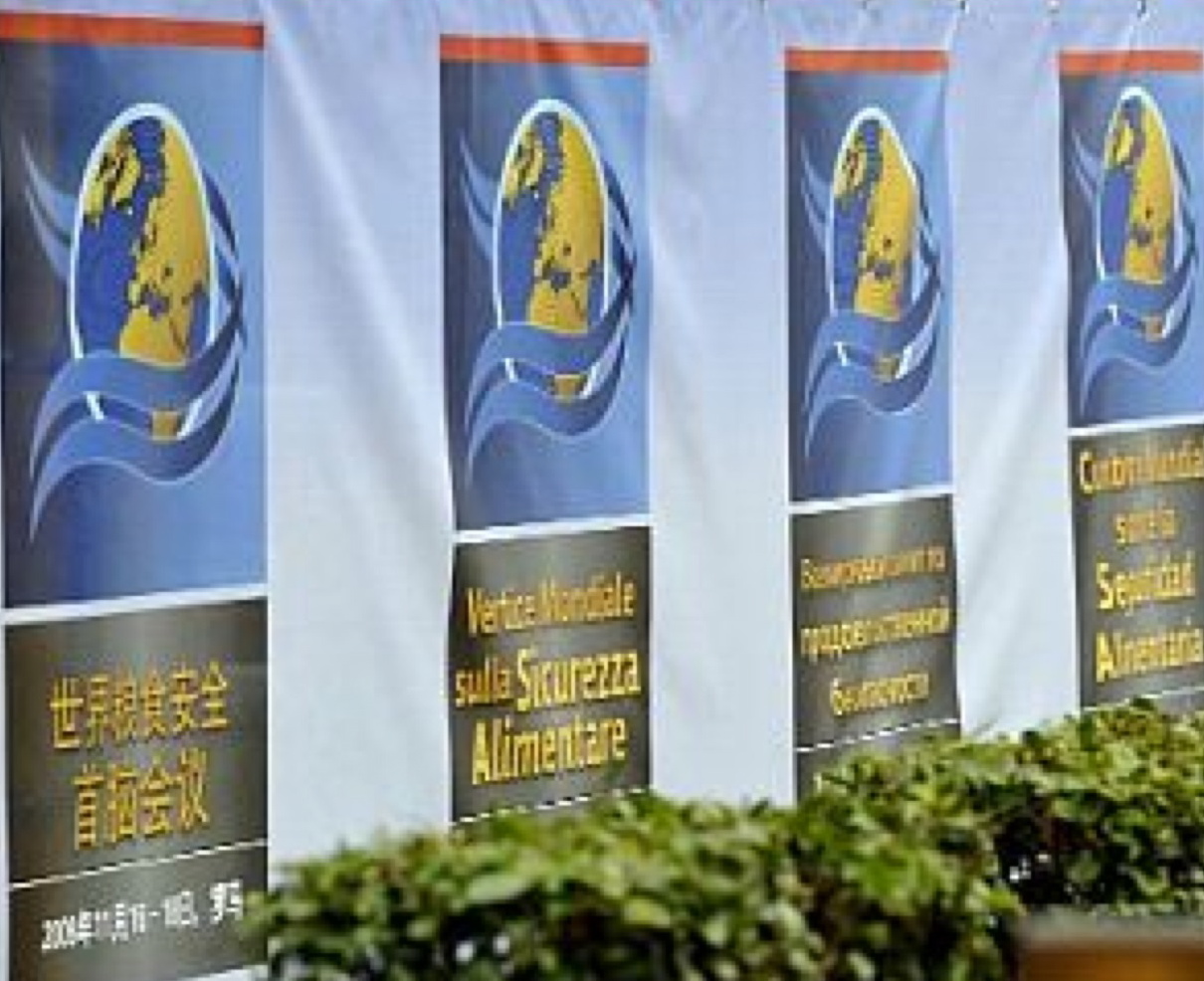 Al via il summit Fao. E Berlusconi salta il processo