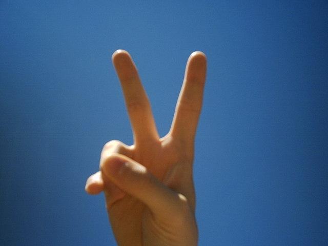 Referendum, risultati parziali, 57% : quorum raggiunto!